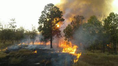 งานป้องกันฯ ออกระงับเหตุเพลิงไหม้