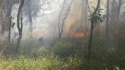 งานป้องกันฯ ออกระงับเหตุเพลิงไหม้