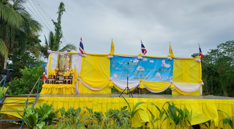 โครงการส่งเสริมการปลูกหญ้าแฝกตามแนวพระราชดำริ ประจำปี 2566