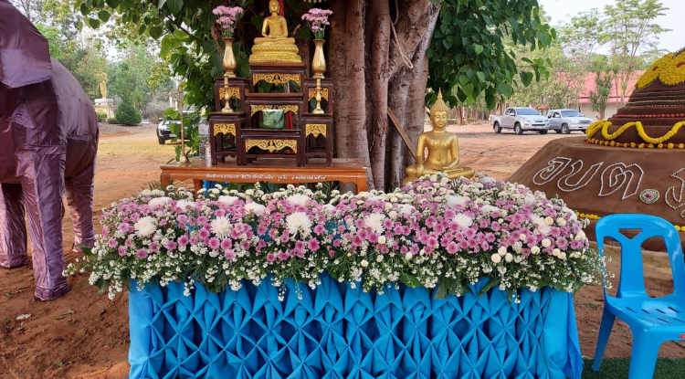 โครงการจัดงานวันสงกรานต์และวันผู้สูงอายุ ประจำปี 2566