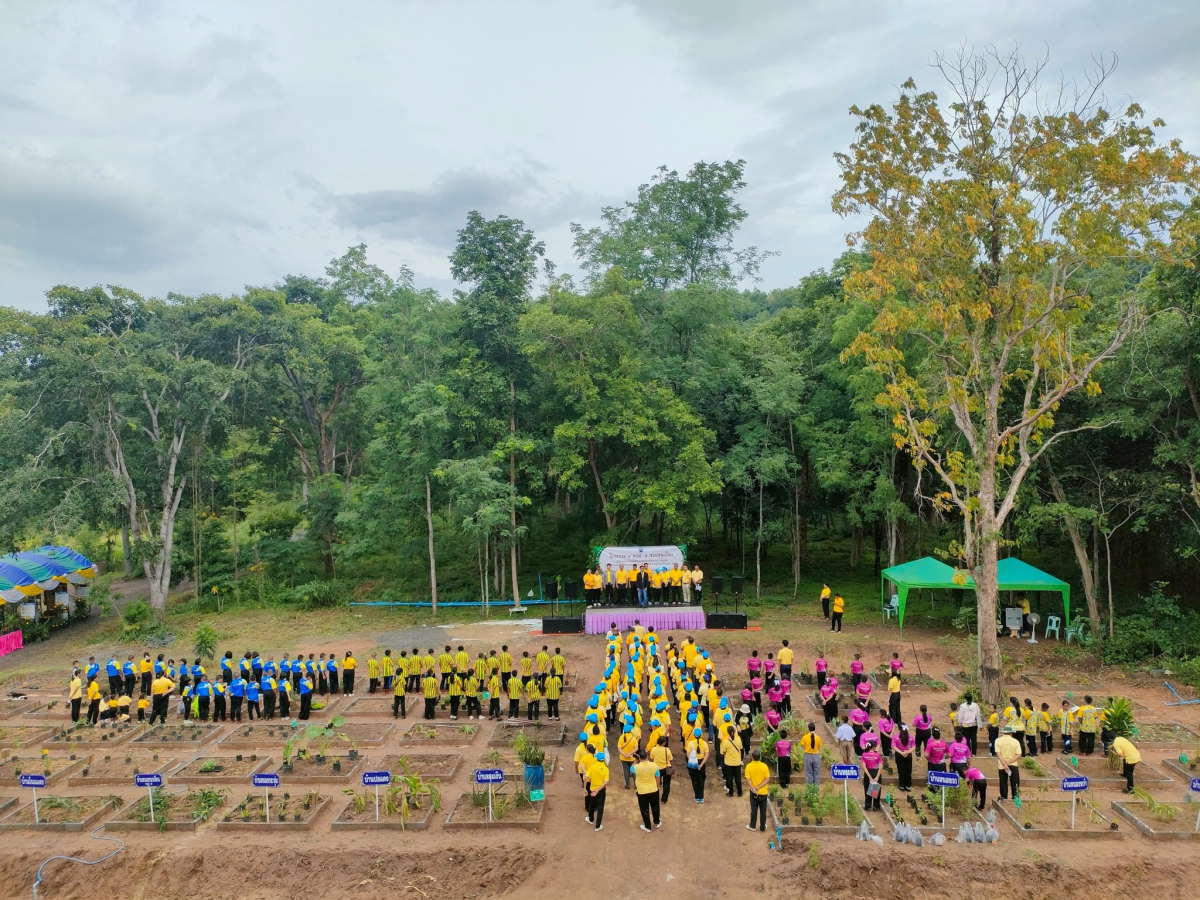 โครงการ 1 อปท. 1 สวนสมุนไพร