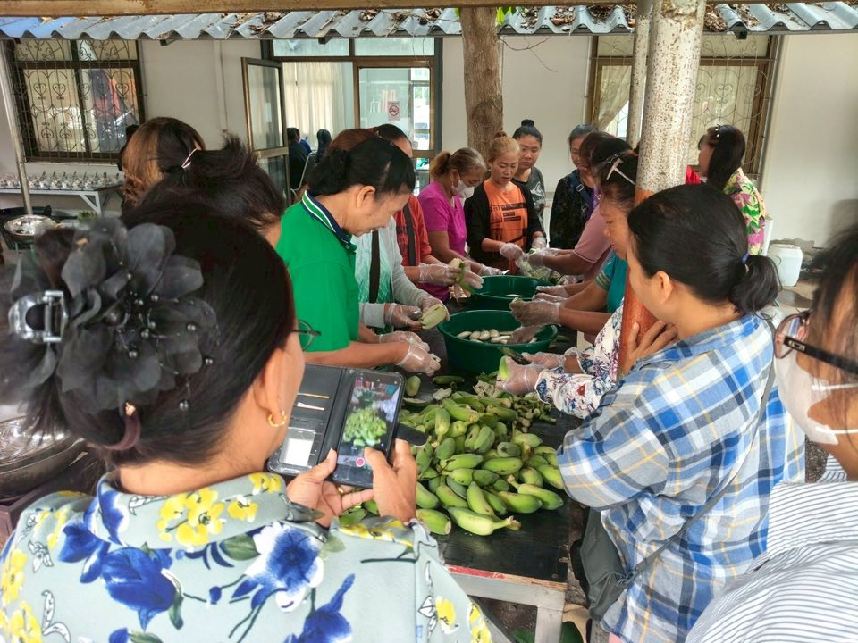 โครงการส่งเสริมอาชีพของกลุ่มสตรีแม่บ้านตำบลภูหลวง 