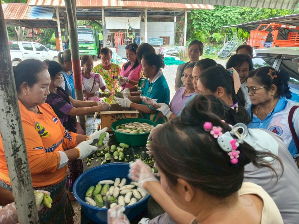 โครงการส่งเสริมอาชีพของกลุ่มสตรีแม่บ้านตำบลภูหลวง 