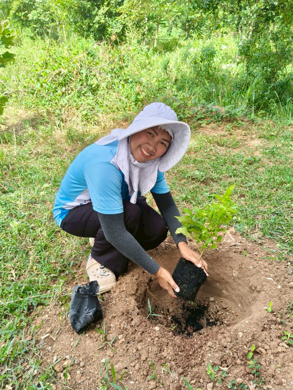 โครงการส่งเสริมการปลูกหญ้าแฝกตามแนวพระราชดำริ ประจำปี ๒๕๖๘