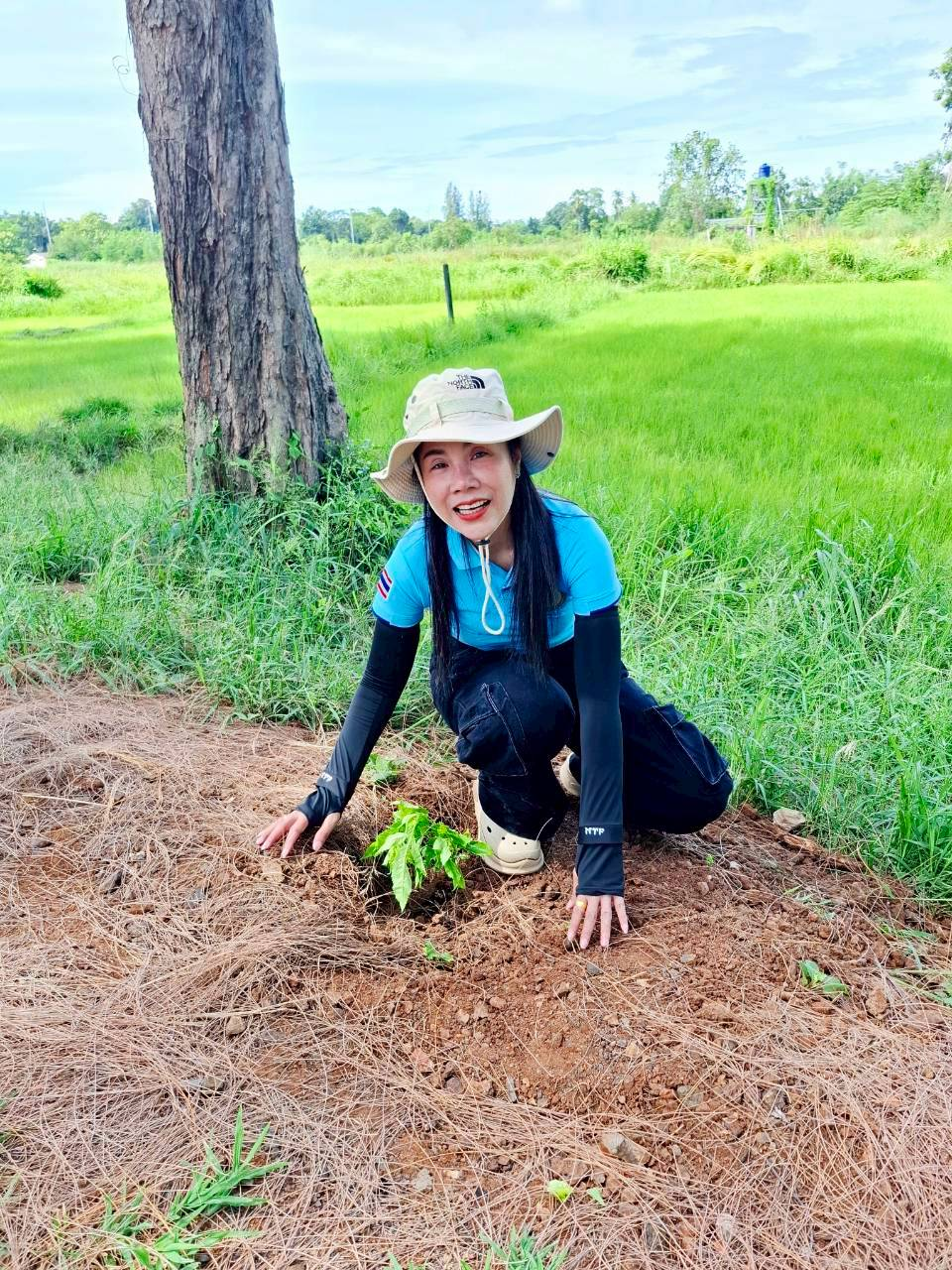โครงการส่งเสริมการปลูกหญ้าแฝกตามแนวพระราชดำริ ประจำปี ๒๕๖๘