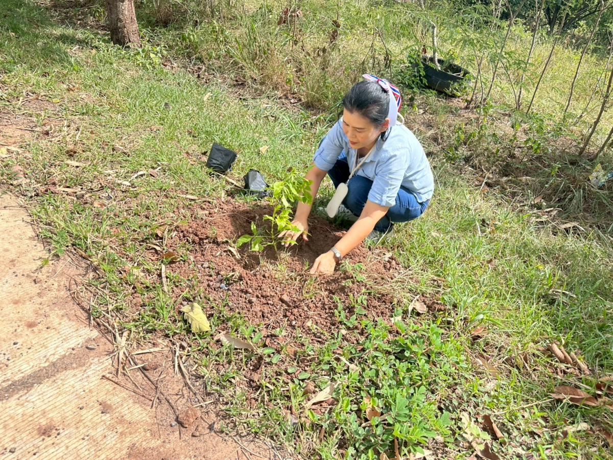 โครงการส่งเสริมการปลูกหญ้าแฝกตามแนวพระราชดำริ ประจำปี ๒๕๖๘