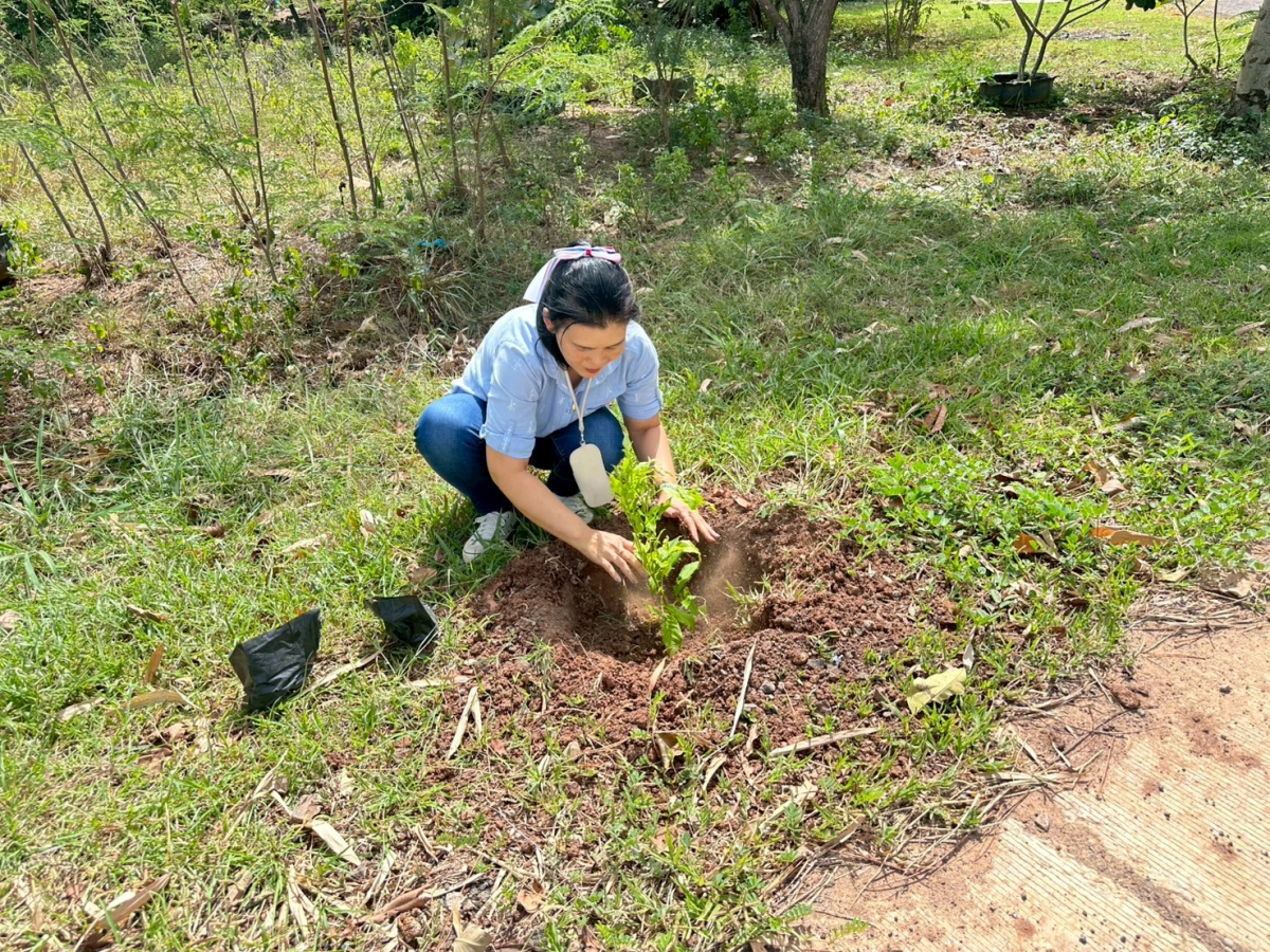 โครงการส่งเสริมการปลูกหญ้าแฝกตามแนวพระราชดำริ ประจำปี ๒๕๖๘