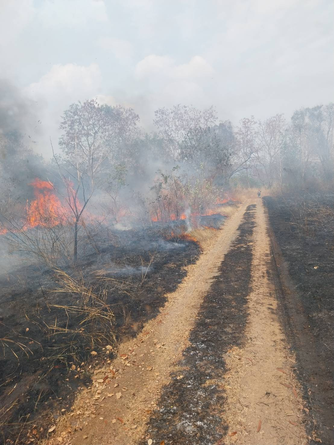 ดำเนินการระงับเหตุเพลิงไหม้ป่าบริเวณหลังหมู่บ้านหลุมเงิน หมู่ที่ ๕ 