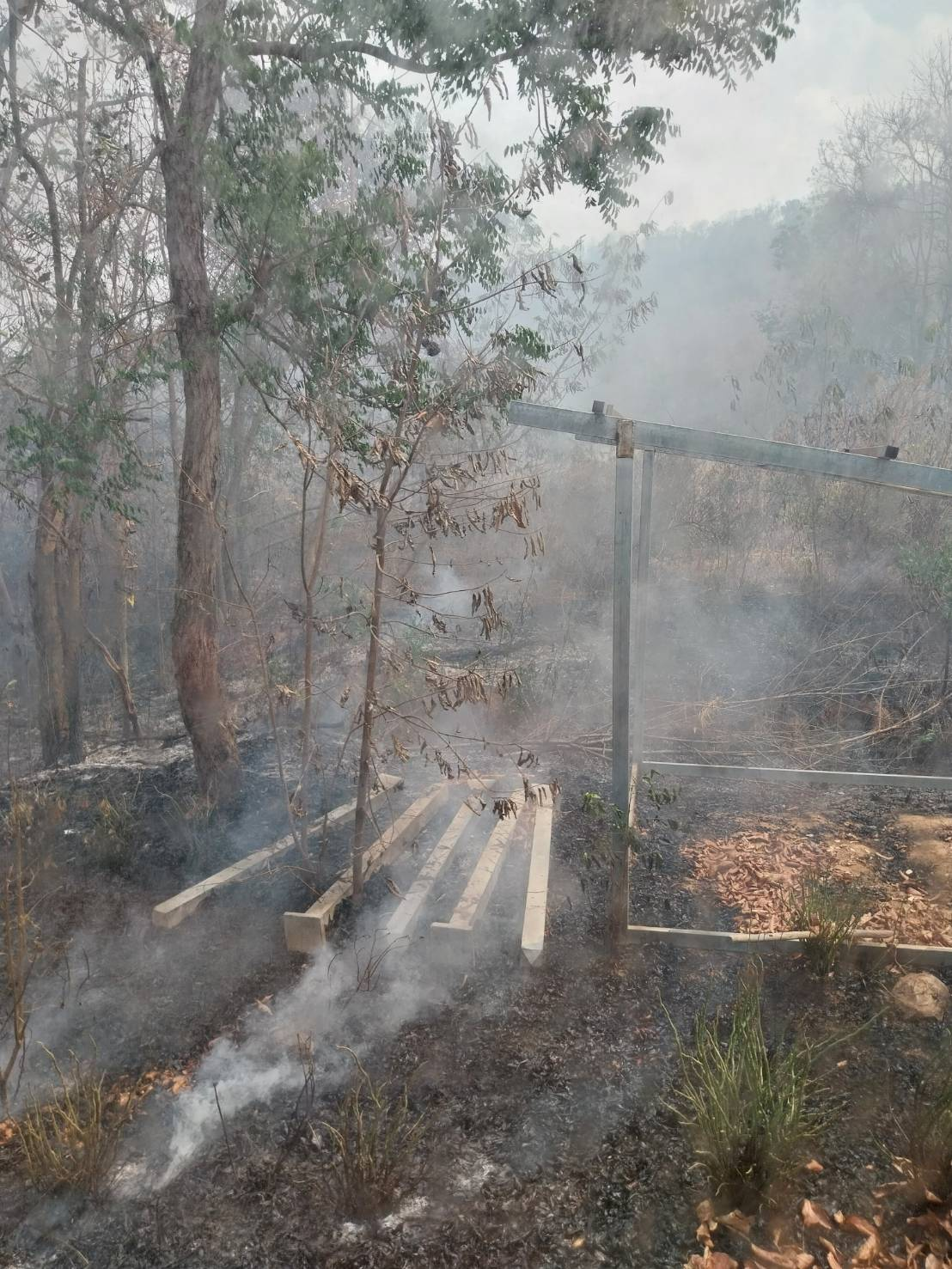 ดำเนินการระงับเหตุเพลิงไหม้ป่าบริเวณหลังหมู่บ้านหลุมเงิน หมู่ที่ ๕ 