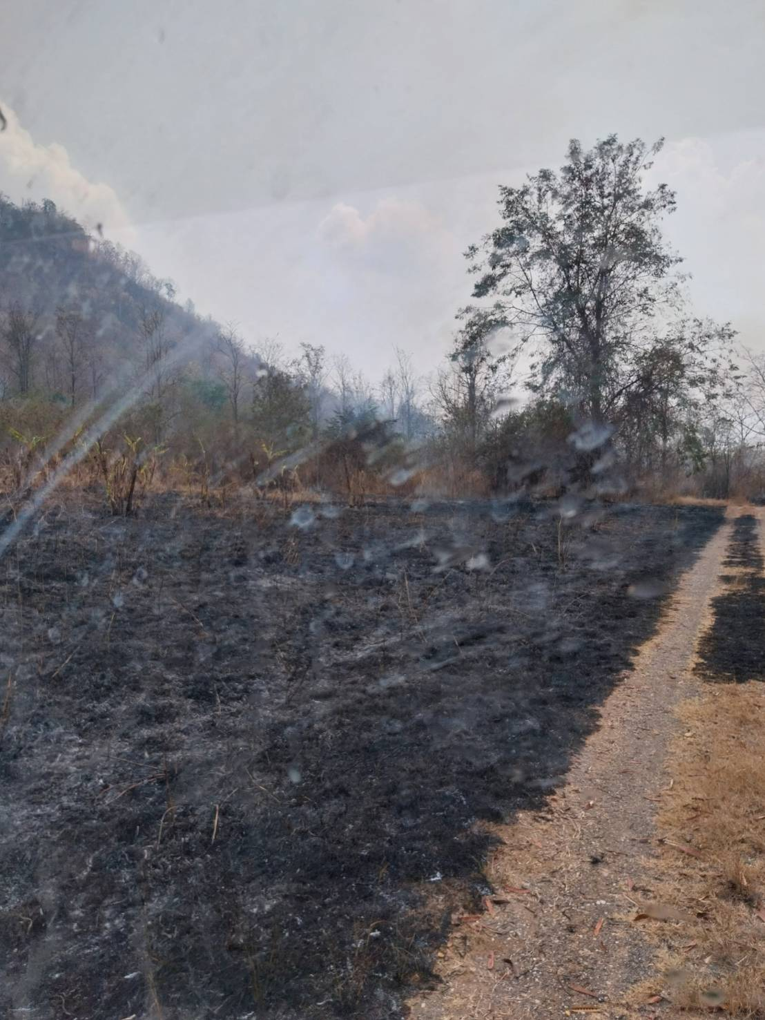 ดำเนินการระงับเหตุเพลิงไหม้ป่าบริเวณหลังหมู่บ้านหลุมเงิน หมู่ที่ ๕ 