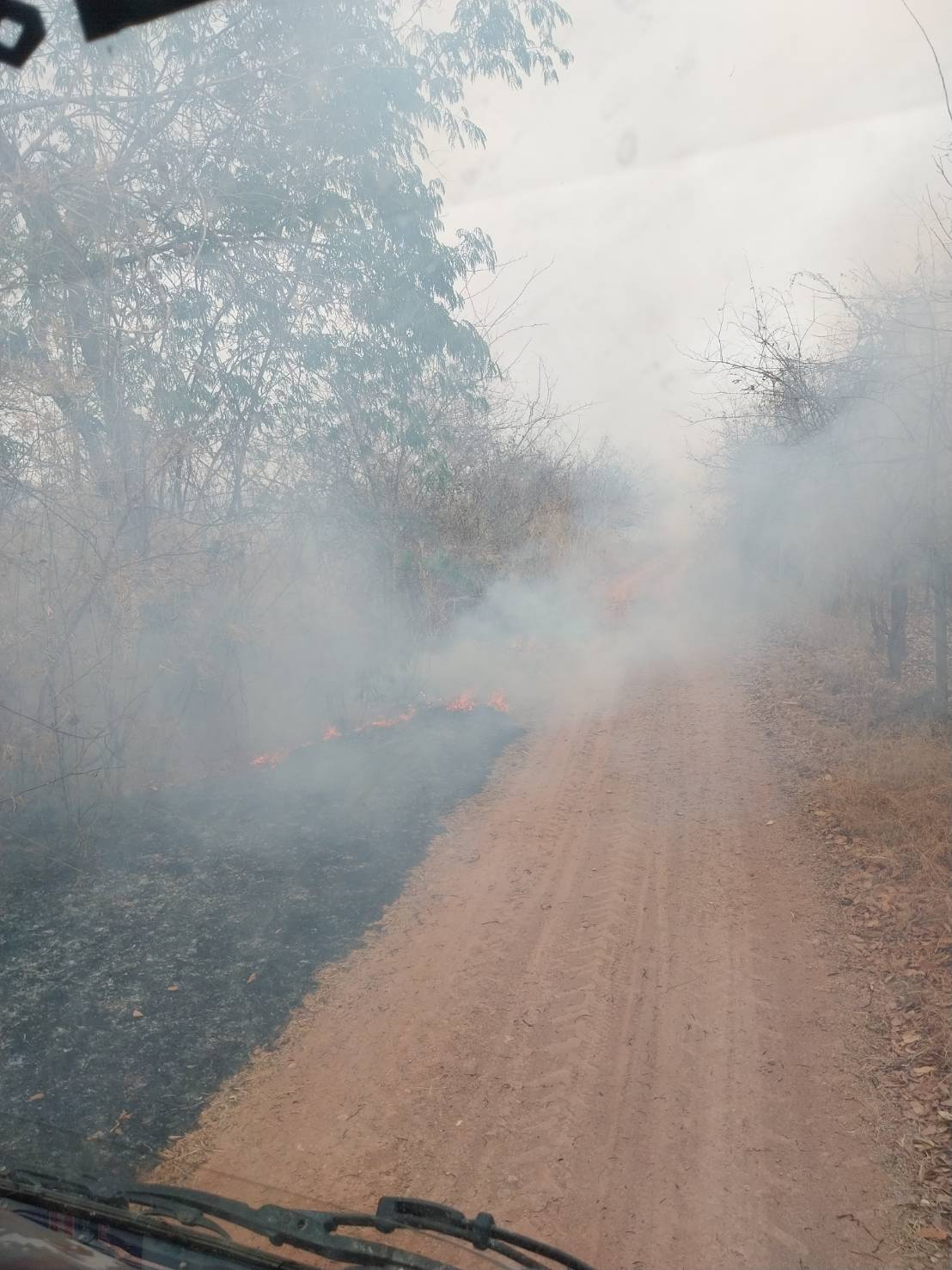 ดำเนินการระงับเหตุเพลิงไหม้ป่าบริเวณหลังหมู่บ้านหลุมเงิน หมู่ที่ ๕ 