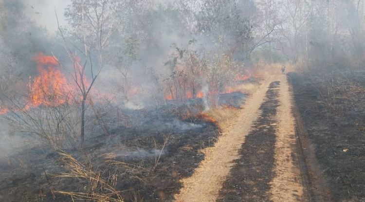 ดำเนินการระงับเหตุเพลิงไหม้ป่าบริเวณหลังหมู่บ้านหลุมเงิน หมู่ที่ ๕ 