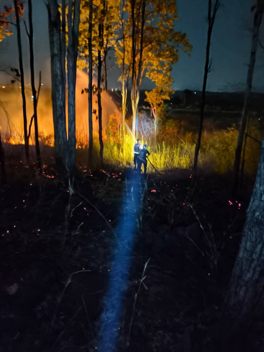 ระงับเหตุเพลิงไหม้ป่า