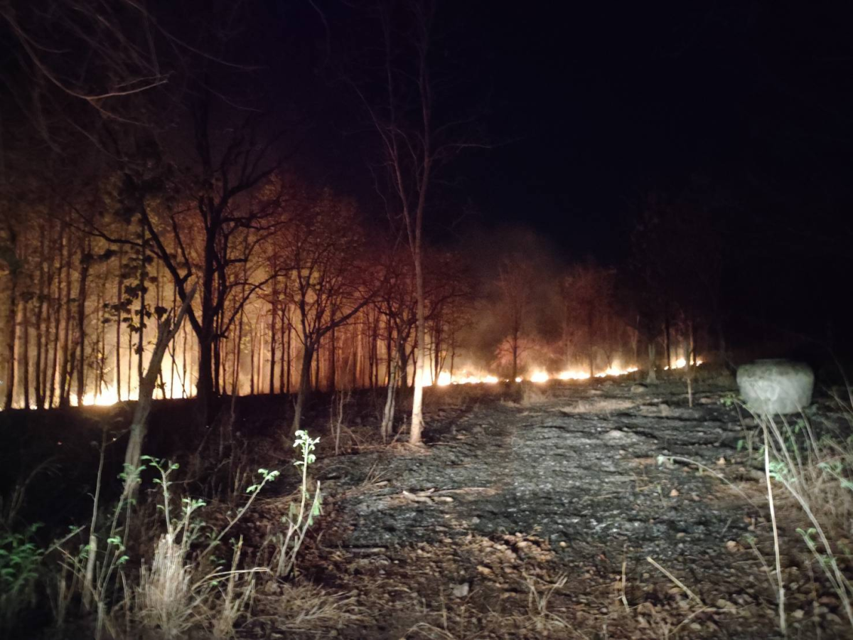 ระงับเหตุเพลิงไหม้ป่า