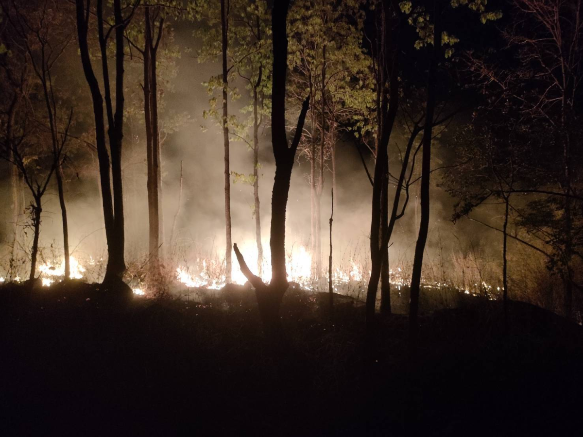 ระงับเหตุเพลิงไหม้ป่า