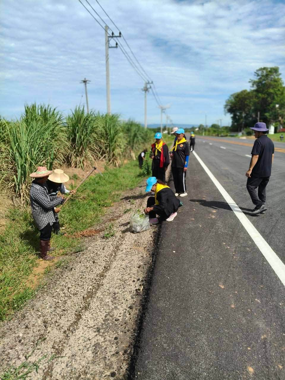 กิจกรรมปลูกป่าชุมชนตำบลภูหลวง