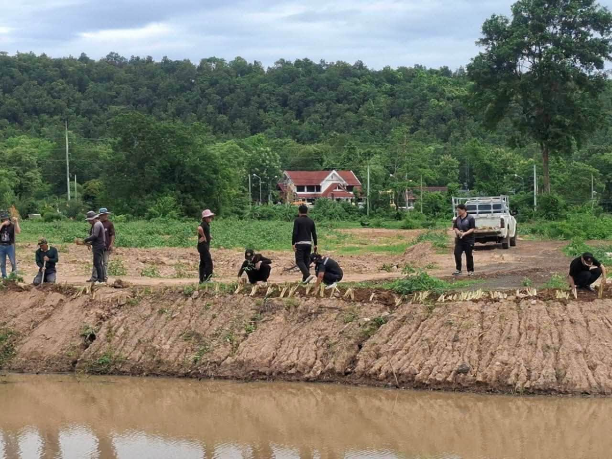 โครงการส่งเสริมการปลูกหญ้าแฝกตามแนวพระราชดำริประจำปี ๒๕๖๙