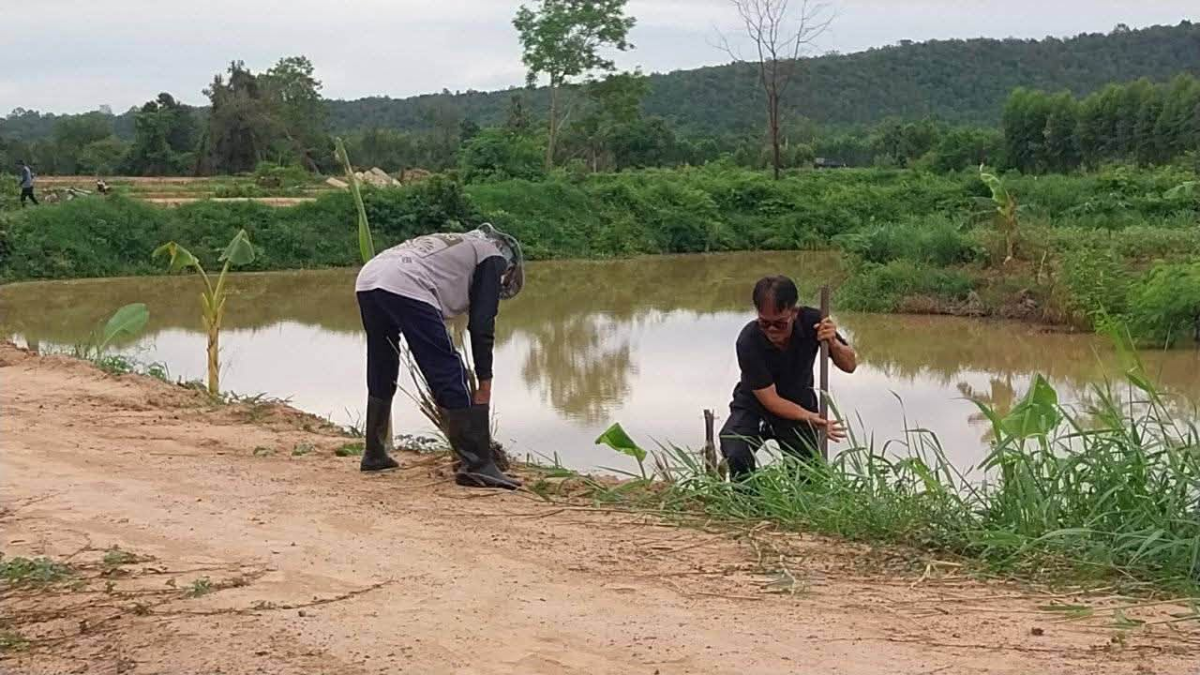 โครงการส่งเสริมการปลูกหญ้าแฝกตามแนวพระราชดำริประจำปี ๒๕๖๙