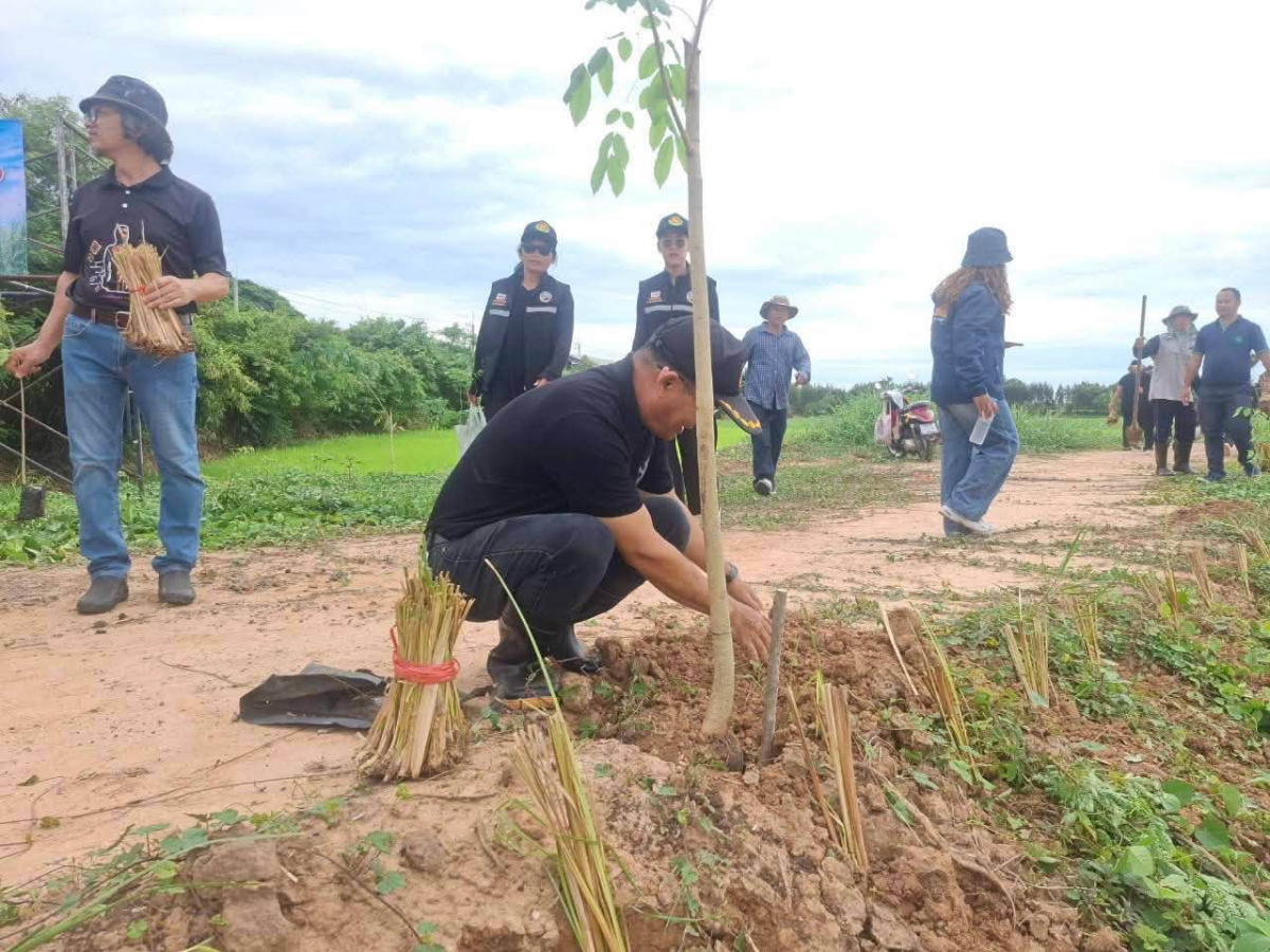 โครงการส่งเสริมการปลูกหญ้าแฝกตามแนวพระราชดำริประจำปี ๒๕๖๙