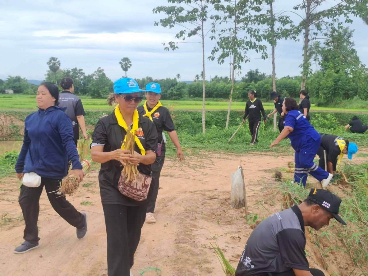 โครงการส่งเสริมการปลูกหญ้าแฝกตามแนวพระราชดำริประจำปี ๒๕๖๙