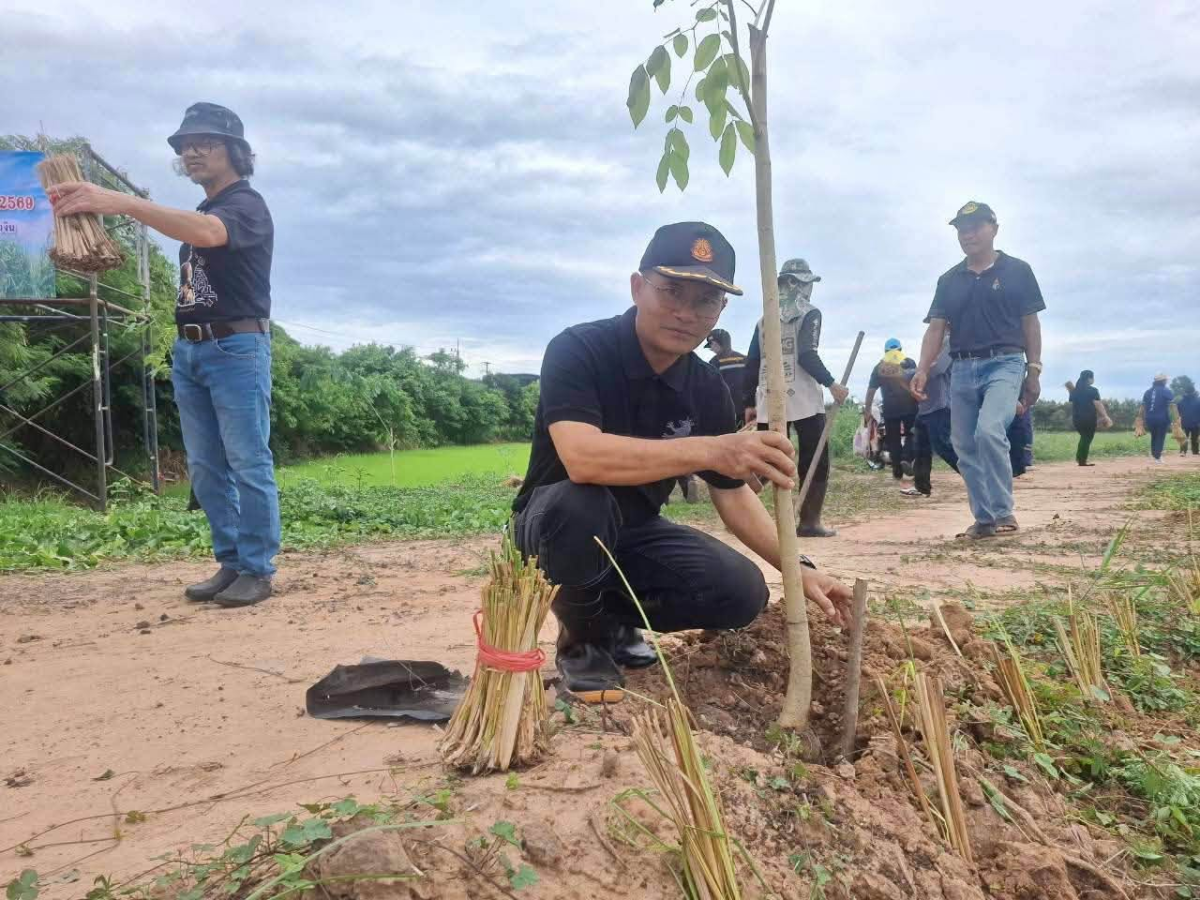 โครงการส่งเสริมการปลูกหญ้าแฝกตามแนวพระราชดำริประจำปี ๒๕๖๙